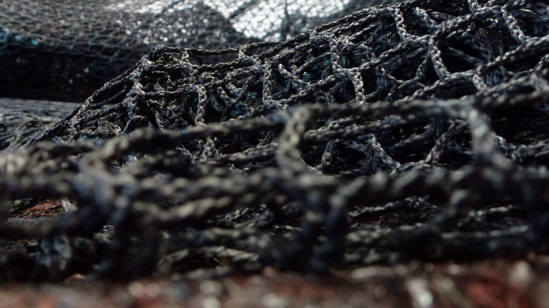 Knotless Fishing Net - Fishing Nets - Hi-sea