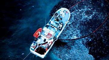 News | Fishery