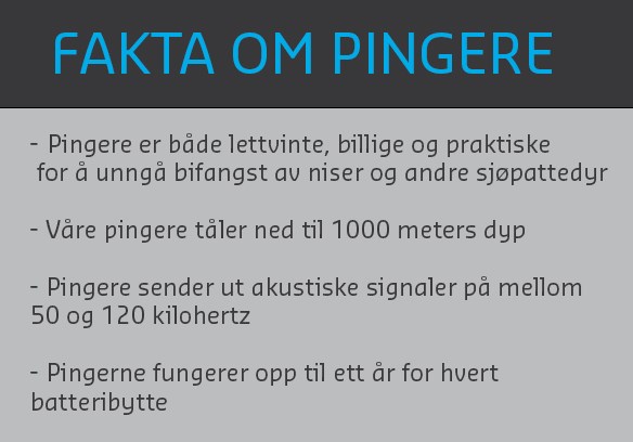 Fakta om pingere.jpg Fakta om pingere.jpg