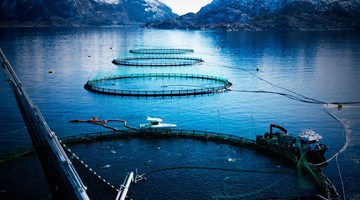 News | Aquaculture